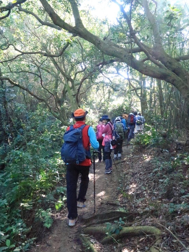 LINE_ALBUM_20250215 龜山張厝步道-大棟山-元德寶宮-張厝.O型👣_250215_68.jpg