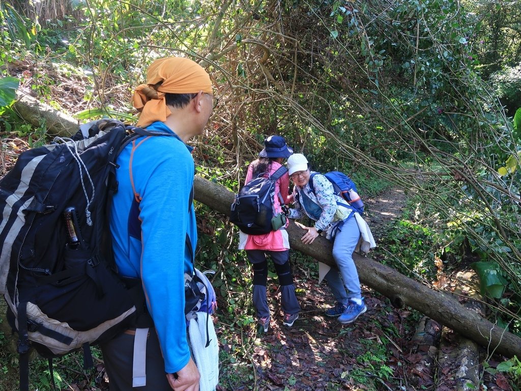 LINE_ALBUM_20250215 龜山張厝步道-大棟山-元德寶宮-張厝.O型👣_250215_72.jpg