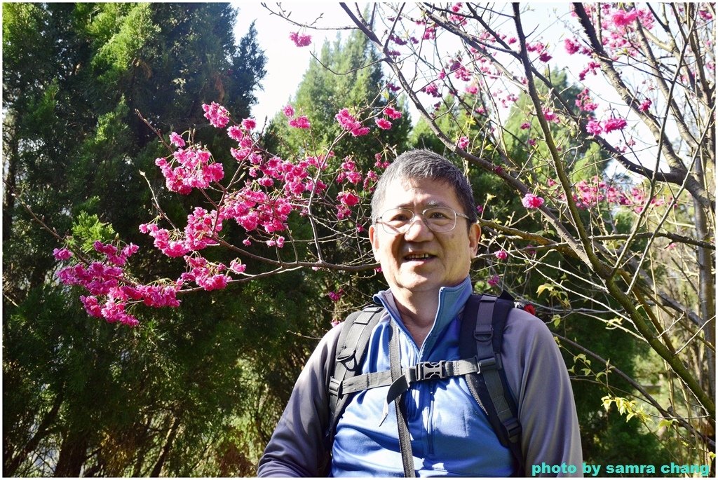 張厝→大湖山→405高地→元德寶宮賞櫻行20250215