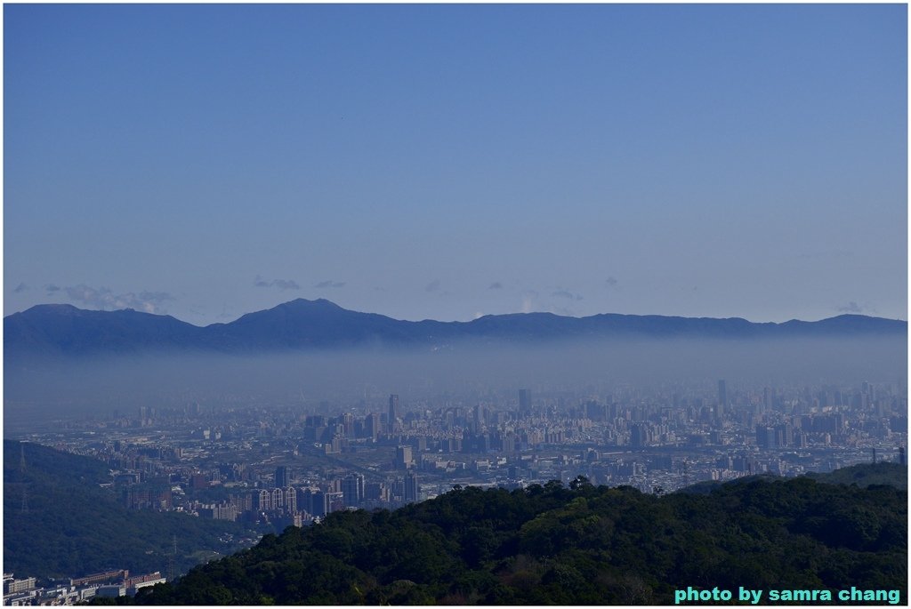 張厝→大湖山→405高地→元德寶宮賞櫻行20250215