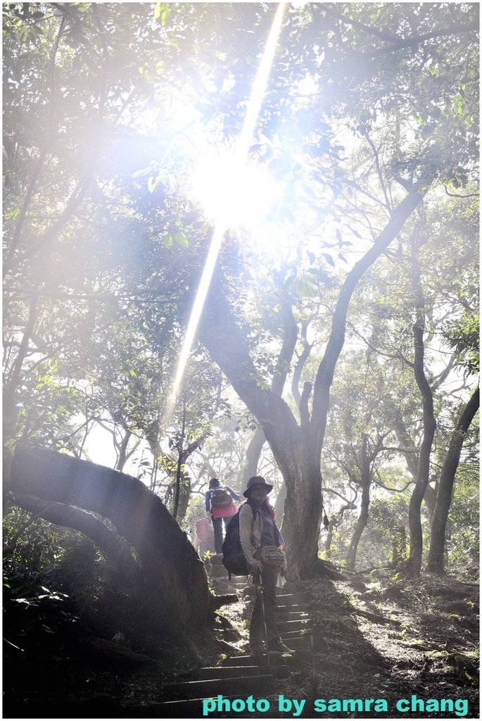 張厝→大湖山→405高地→元德寶宮賞櫻行20250215