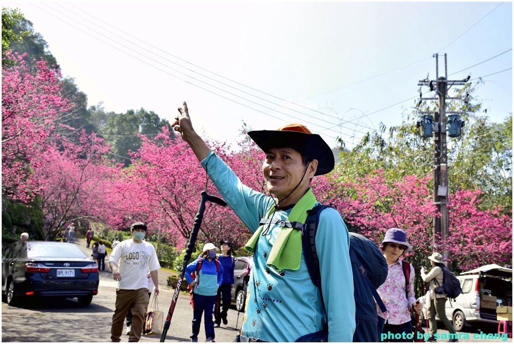 張厝→大湖山→405高地→元德寶宮賞櫻行20250215