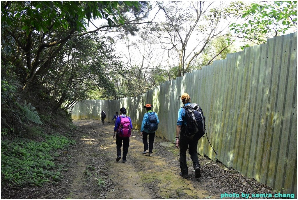 張厝→大湖山→405高地→元德寶宮賞櫻行20250215