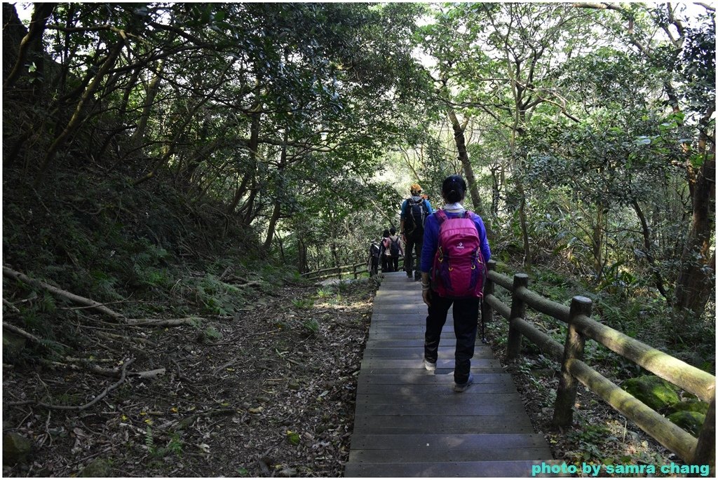 張厝→大湖山→405高地→元德寶宮賞櫻行20250215