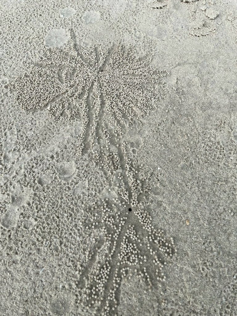 LINE_ALBUM_1140402馬來西亞_250411_222.jpg
