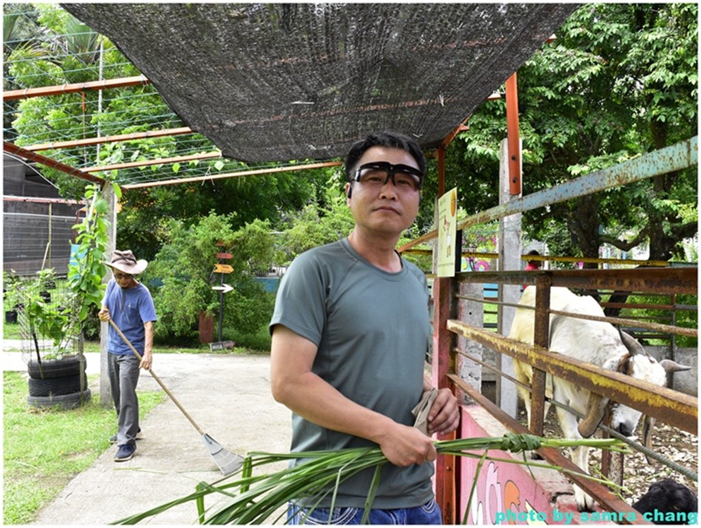 馬來西亞鴕鳥庄園農場裡的奇花異草20250403