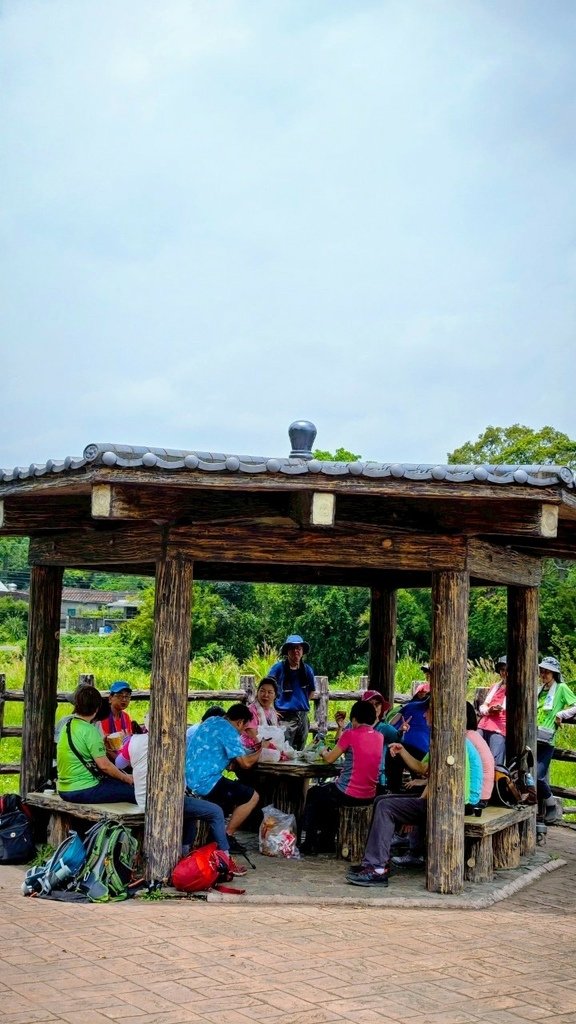 LINE_ALBUM_20250503大溪大九芎古道+十一指古道_250503_28.jpg