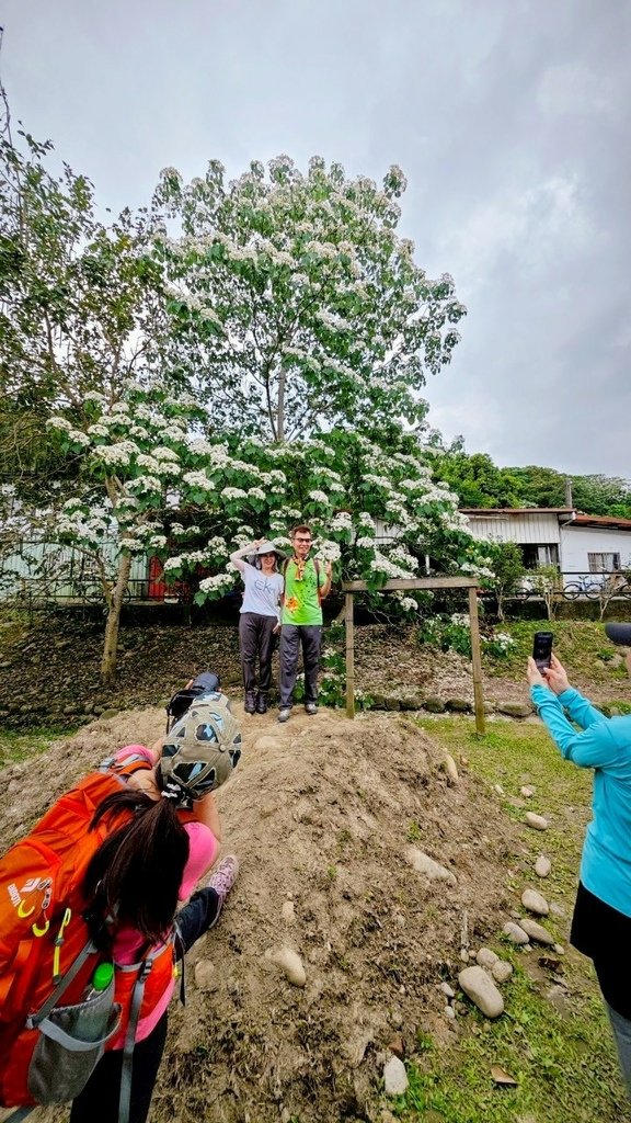 LINE_ALBUM_20250503大溪大九芎古道+十一指古道_250503_41.jpg