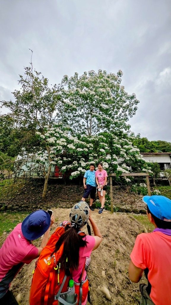 LINE_ALBUM_20250503大溪大九芎古道+十一指古道_250503_40.jpg