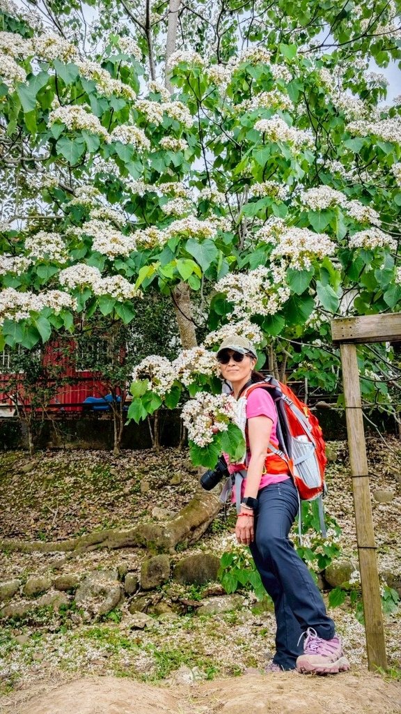 LINE_ALBUM_20250503大溪大九芎古道+十一指古道_250503_39.jpg
