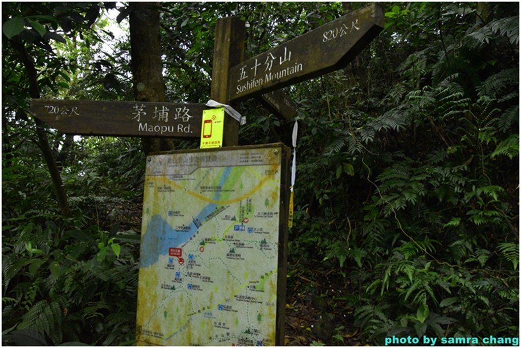 三峽永安宮上鳶山20250427