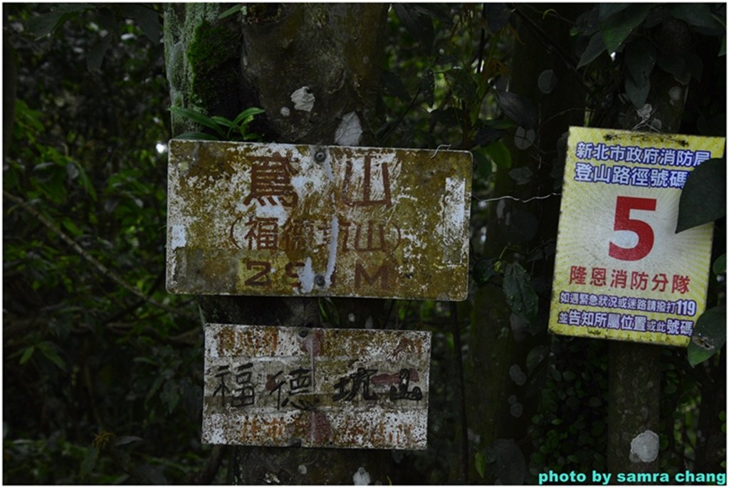 三峽永安宮上鳶山20250427