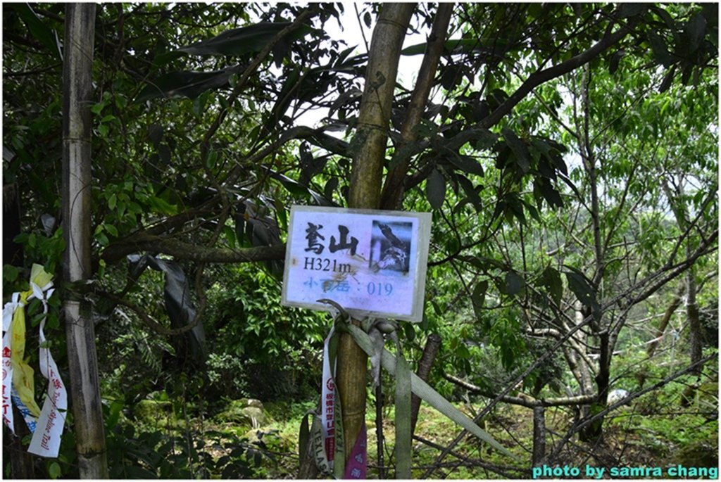 三峽永安宮上鳶山20250427