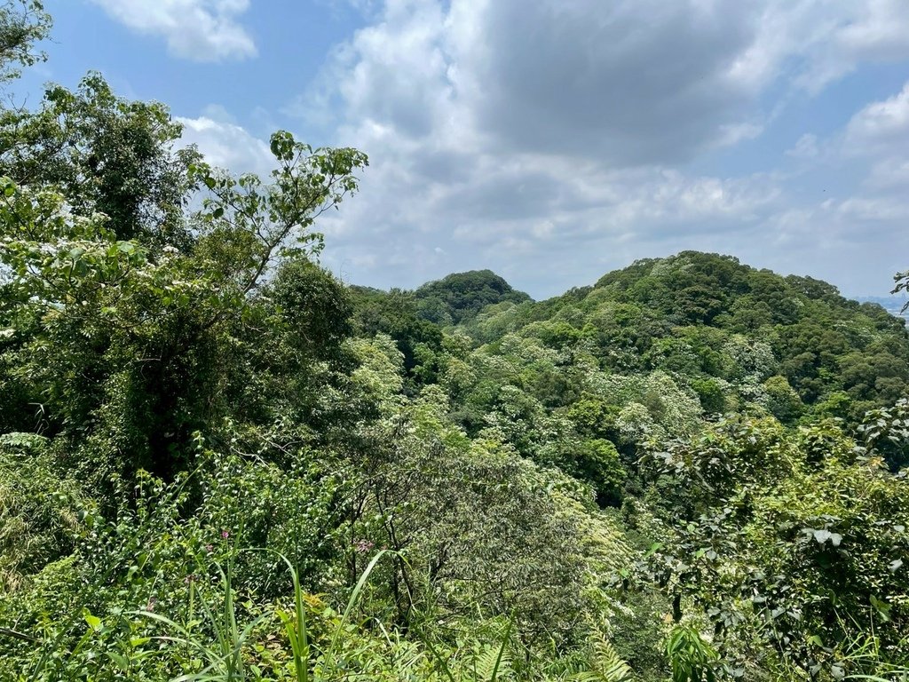 LINE_ALBUM_20250427鳶山_250427_13.jpg