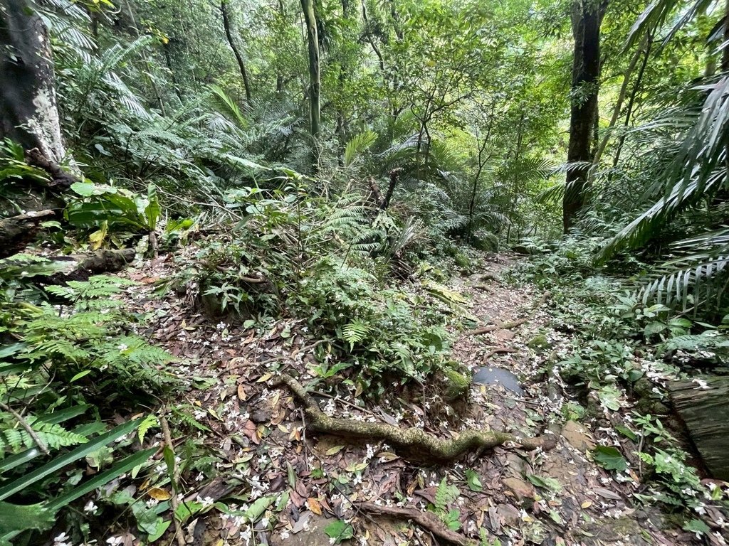 LINE_ALBUM_20250427鳶山_250427_27.jpg
