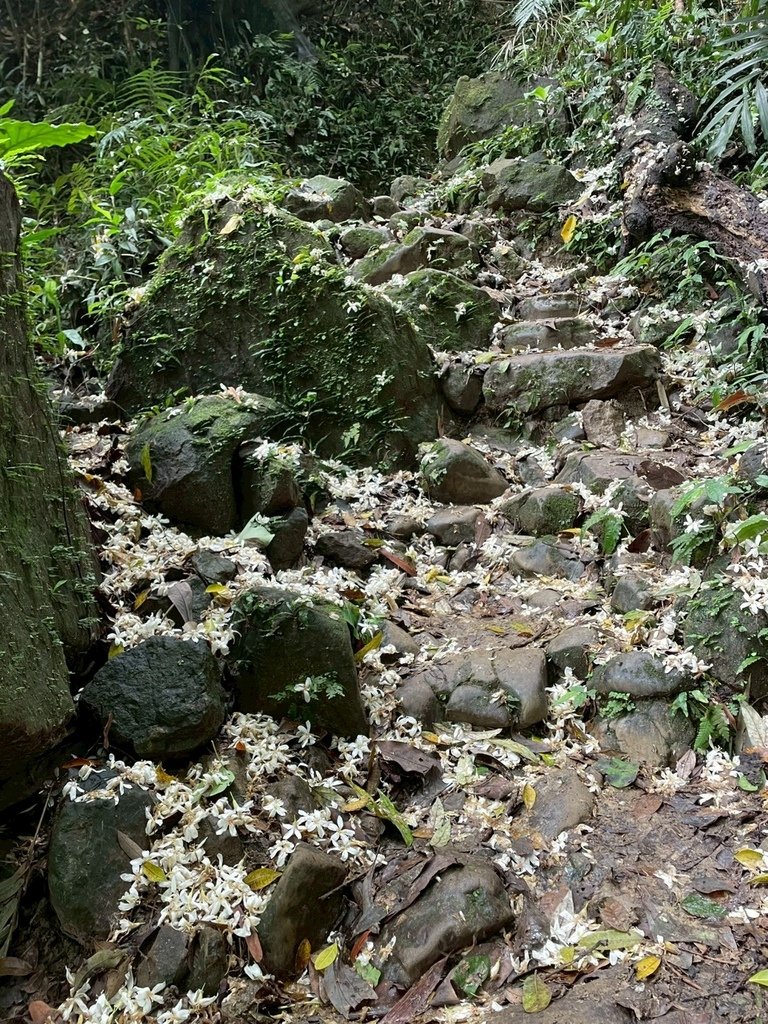 LINE_ALBUM_20250427鳶山_250427_31.jpg