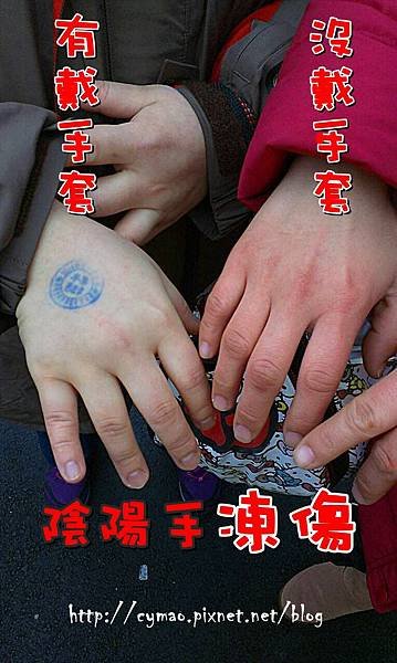 2014台北冰雪世界-零下18度的凍感體驗