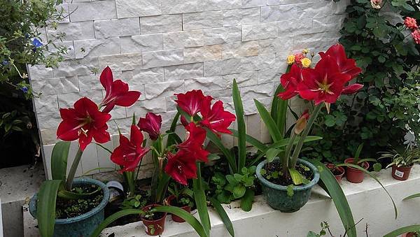 tn_IMAG0422
