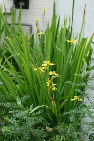 tn_DSC_1021.JPG