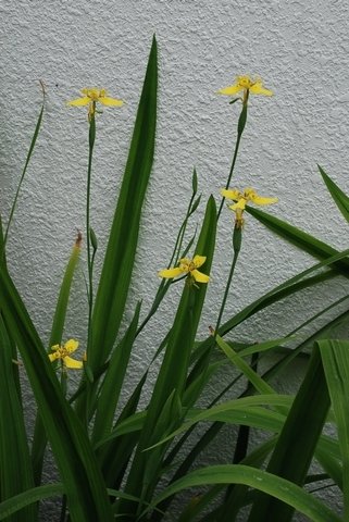 tn_DSC_1028.JPG