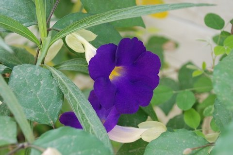 tn_DSC_1014.JPG