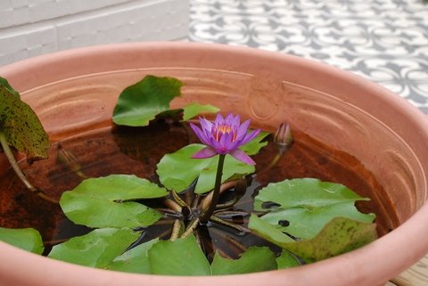 tn_DSC_1016.JPG