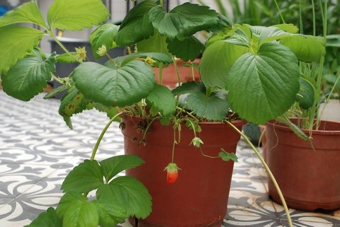 tn_DSC_1010.JPG