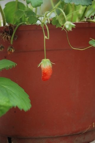 tn_DSC_1011.JPG
