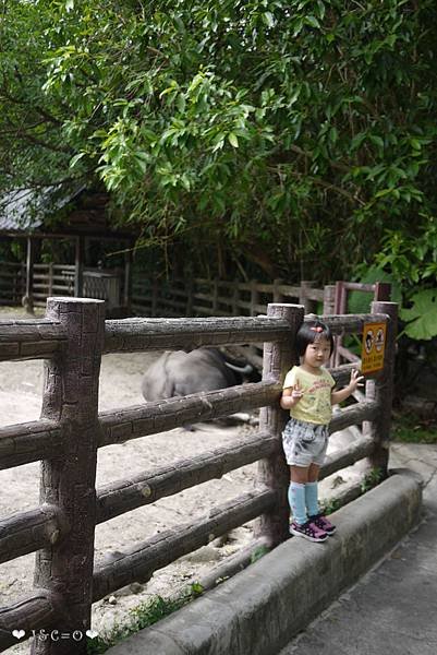 P1220002
