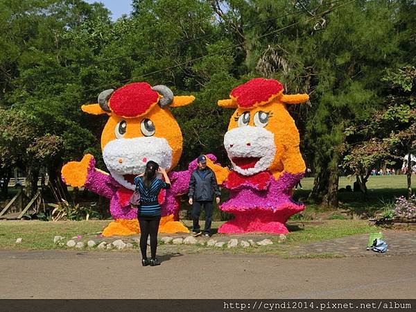 【桃園楊梅】味全埔心牧場 陽光草原吃吃喝喝看動物踏青 