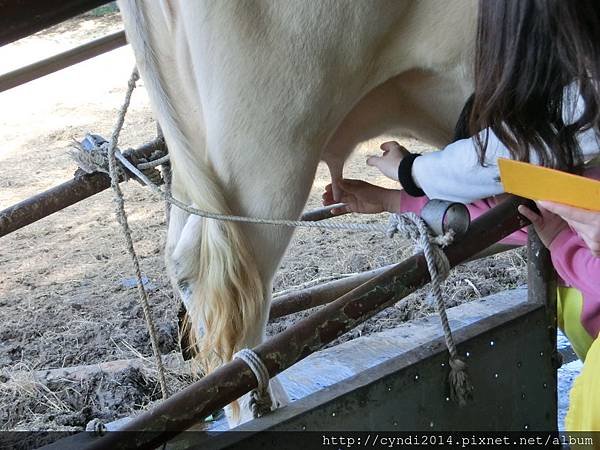 【桃園楊梅】味全埔心牧場 陽光草原吃吃喝喝看動物踏青 