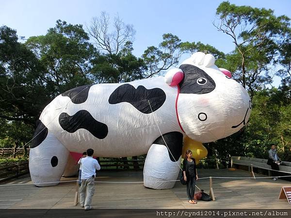 【桃園楊梅】味全埔心牧場 陽光草原吃吃喝喝看動物踏青 