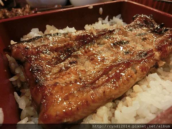 【台北】肥前屋超人氣排隊美食鰻魚飯 超大尾炸蝦飯 一定要來吃