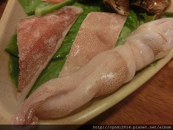 【台北】陶錦日式涮涮鍋 平價海鮮大餐爽爽吃