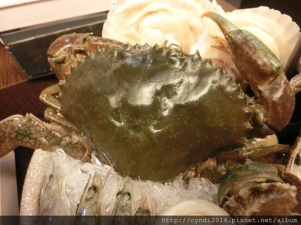 【台北】小當家海鮮鍋物 食尚玩家之超澎湃高檔海鮮大口吃 鱈場