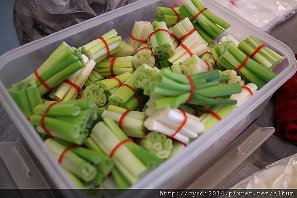 【台中東區】九合烤鴨 一鴨二吃 片鴨 炒鴨一次滿足 號稱台中