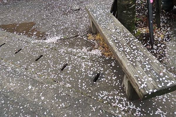 DSCN3404 (640x427)