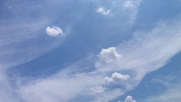 20160701_104722 (640x360)