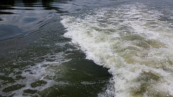 20160701_110840 (640x360)