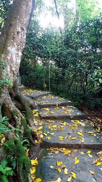 20160918_155433 (360x640)
