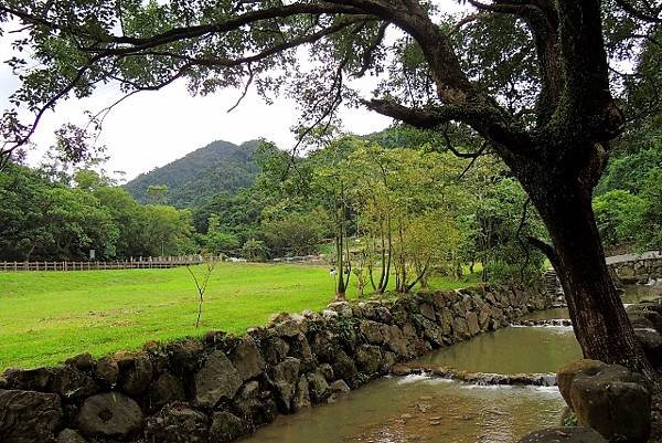 DSCN4251 (640x427)