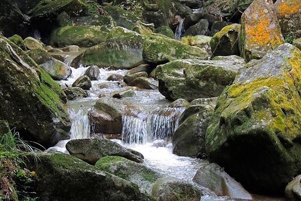 DSCN4316 (640x427)