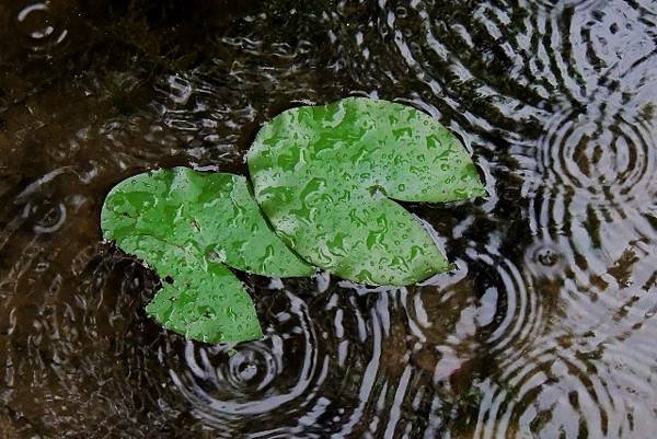 DSCN4342 (640x427)