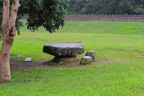 DSCN4351 (640x427)