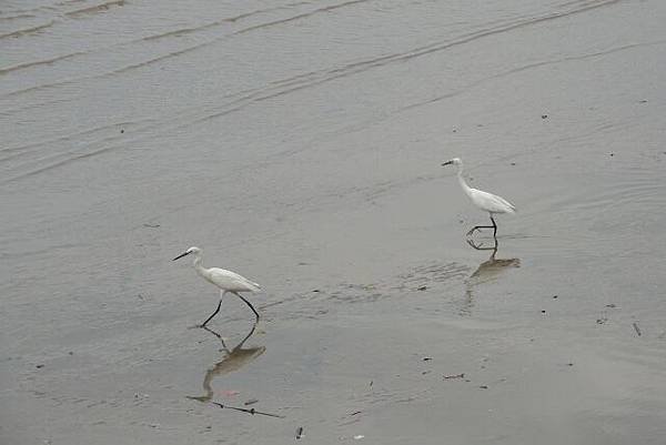 DSCN7775 (640x427)