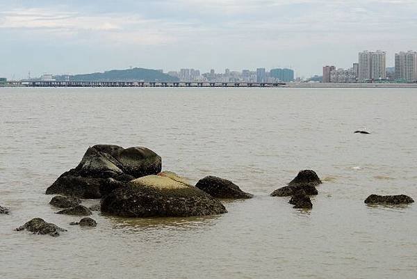 DSCN7788 (640x427)