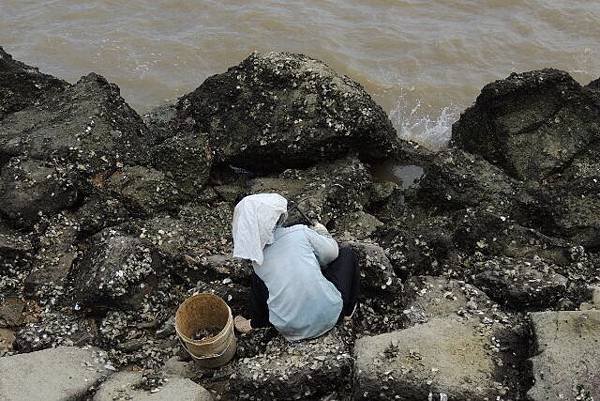 DSCN7791 (640x427)