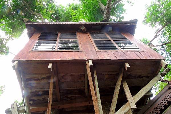 DSCN2063 (640x427)
