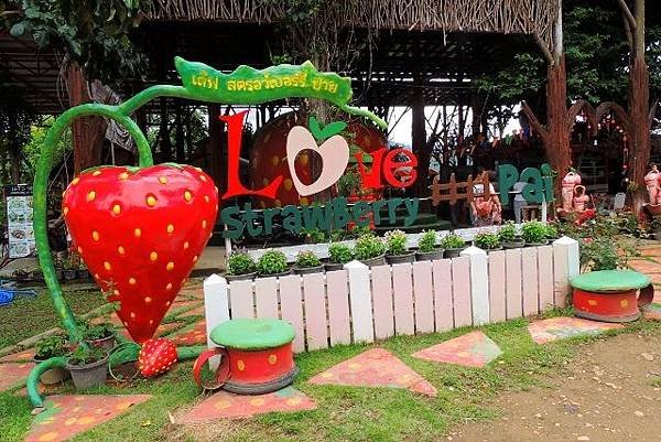 DSCN2135 (640x427)