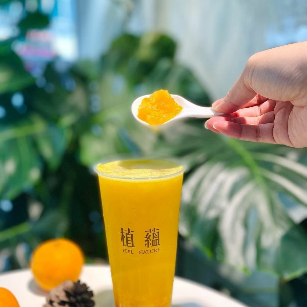 台北｜植蘊 果茶製研所 圓山站新鮮果汁推薦